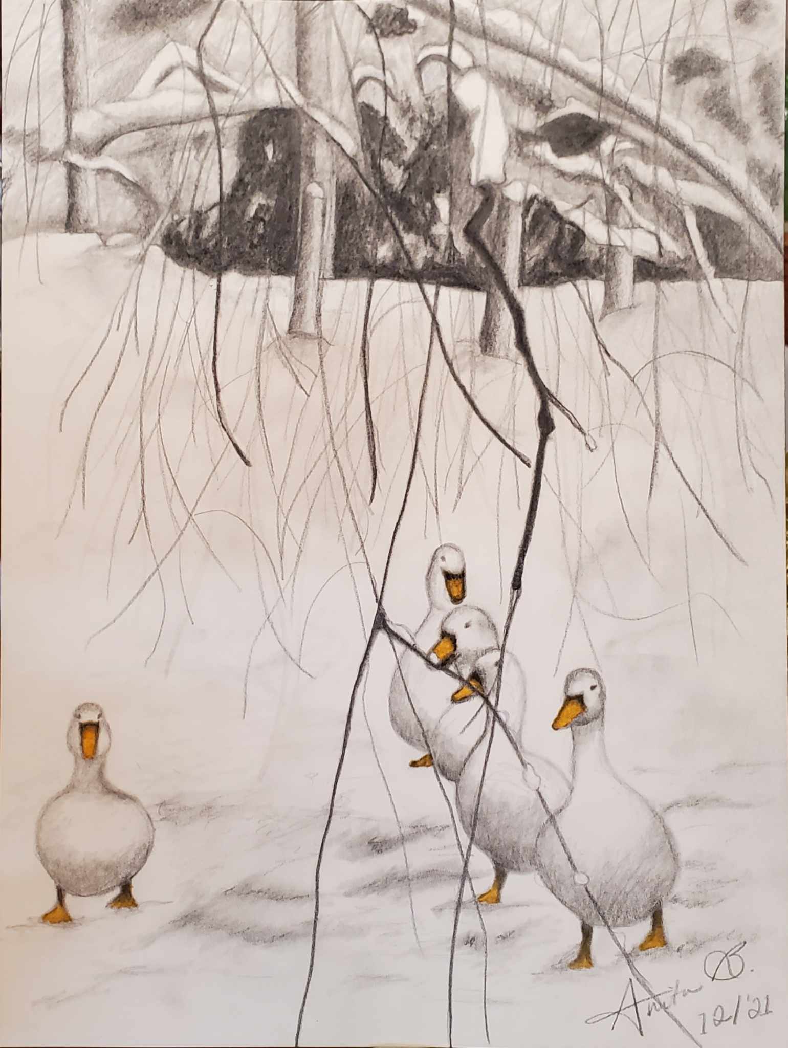 Pencil drawing of four geese in front of a snowy background.