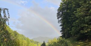 Rainbow in a country setting
